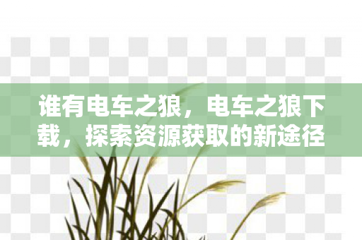 谁有电车之狼，电车之狼下载，探索资源获取的新途径