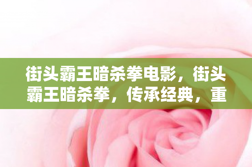 街头霸王暗杀拳电影，街头霸王暗杀拳，传承经典，重塑格斗之魂