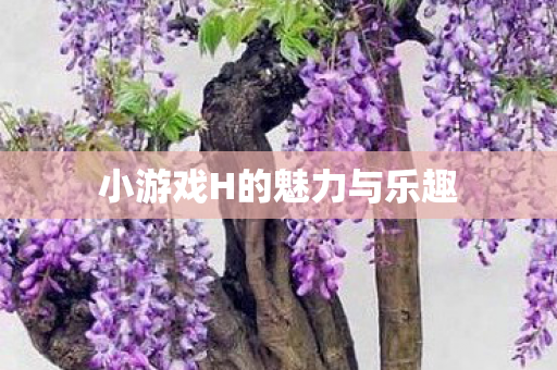 小游戏H的魅力与乐趣