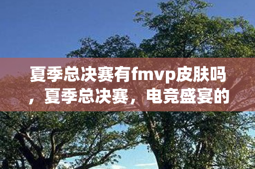 夏季总决赛有fmvp皮肤吗，夏季总决赛，电竞盛宴的激情碰撞