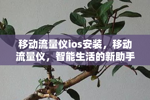 移动流量仪ios安装，移动流量仪，智能生活的新助手