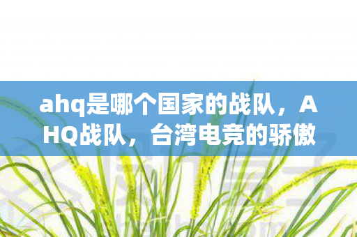 ahq是哪个国家的战队，AHQ战队，台湾电竞的骄傲