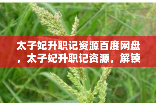 太子妃升职记资源百度网盘，太子妃升职记资源，解锁经典剧情，重温古装魅力