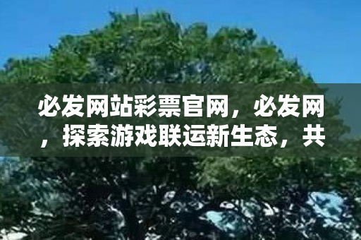 必发网站彩票官网，必发网，探索游戏联运新生态，共赢游戏产业未来