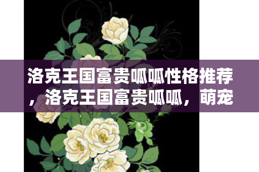 洛克王国富贵呱呱性格推荐，洛克王国富贵呱呱，萌宠养成新体验