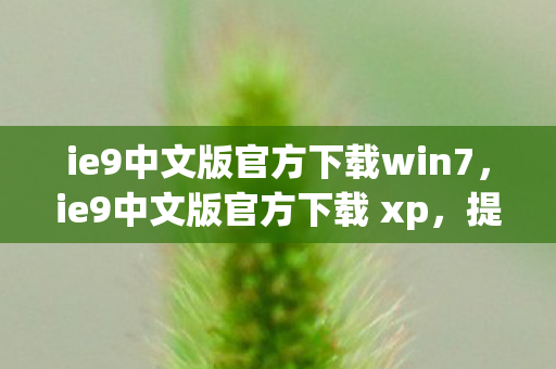 ie9中文版官方下载win7，ie9中文版官方下载 xp，提升浏览器性能与体验