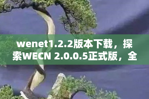 wenet1.2.2版本下载，探索WECN 2.0.0.5正式版，全新功能与应用场景解析