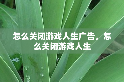 怎么关闭游戏人生广告，怎么关闭游戏人生