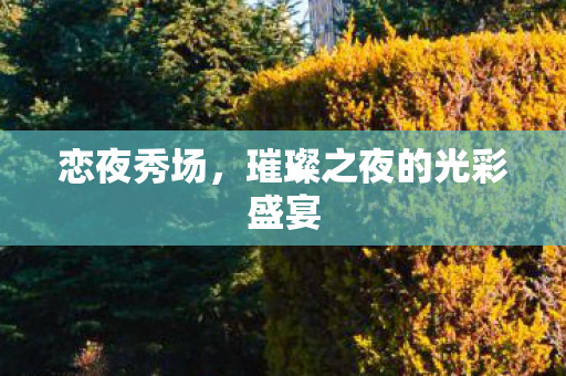 恋夜秀场，璀璨之夜的光彩盛宴