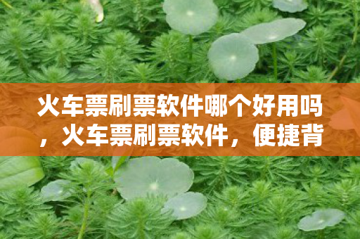 火车票刷票软件哪个好用吗，火车票刷票软件，便捷背后的隐忧