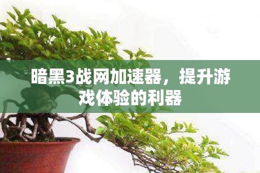 暗黑3战网加速器，提升游戏体验的利器