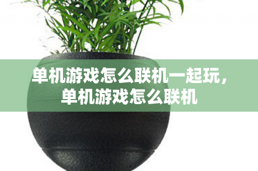 单机游戏怎么联机一起玩,单机游戏怎么联机 单机游戏怎么联机一起玩,单机游戏怎么联机