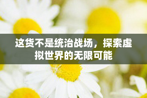 这货不是统治战场，探索虚拟世界的无限可能