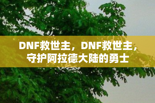 DNF救世主，DNF救世主，守护阿拉德大陆的勇士