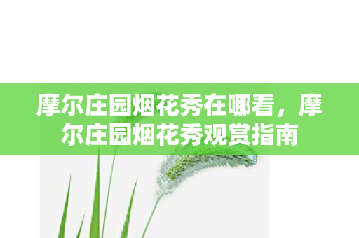 摩尔庄园烟花秀在哪看，摩尔庄园烟花秀观赏指南