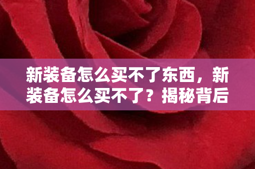 新装备怎么买不了东西，新装备怎么买不了？揭秘背后的原因与解决方案