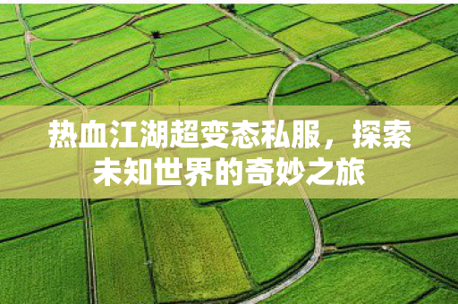 热血江湖超变态私服，探索未知世界的奇妙之旅