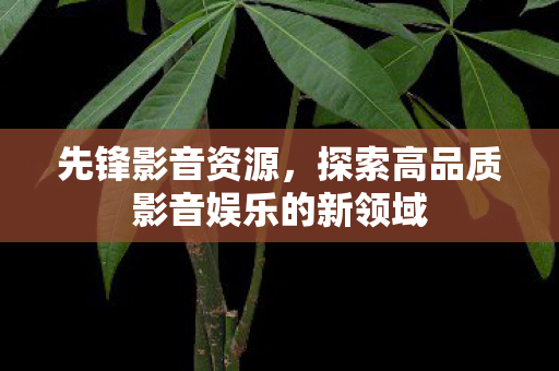 先锋影音资源，探索高品质影音娱乐的新领域