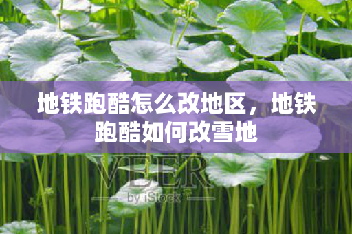 地铁跑酷怎么改地区，地铁跑酷如何改雪地