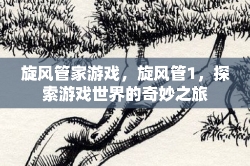 旋风管家游戏，旋风管1，探索游戏世界的奇妙之旅