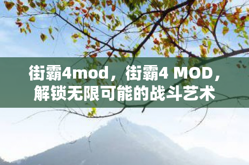 街霸4mod，街霸4 MOD，解锁无限可能的战斗艺术