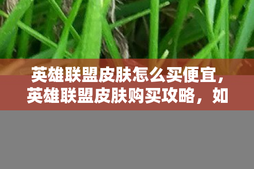 英雄联盟皮肤怎么买便宜，英雄联盟皮肤购买攻略，如何以优惠价格获取心仪皮肤