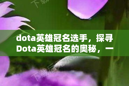 dota英雄冠名选手，探寻Dota英雄冠名的奥秘，一场荣耀与策略的盛宴