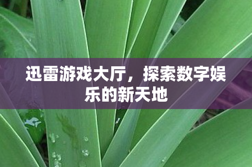 迅雷游戏大厅，探索数字娱乐的新天地
