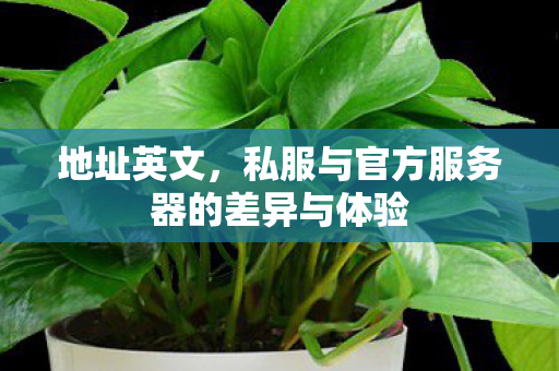 地址英文，私服与官方服务器的差异与体验
