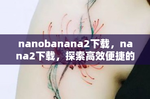 nanobanana2下载，nana2下载，探索高效便捷的数字资源获取方式