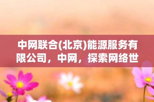 中网联合(北京)能源服务有限公司，中网，探索网络世界的无限可能