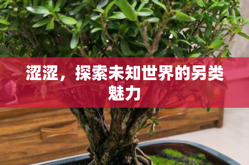 涩涩，探索未知世界的另类魅力