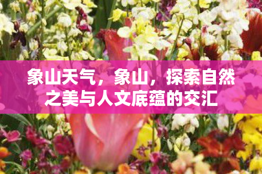 象山天气，象山，探索自然之美与人文底蕴的交汇