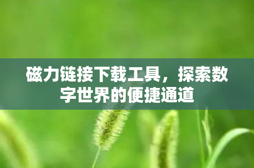 磁力链接下载工具,探索数字世界的便捷通道 磁力链接下载工具,探索数字世界的便捷通道