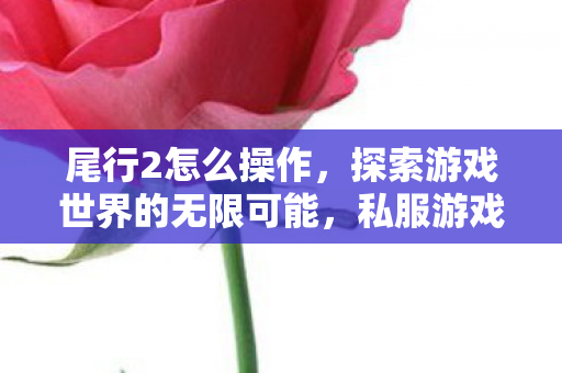 尾行2怎么操作，探索游戏世界的无限可能，私服游戏的魅力与风险