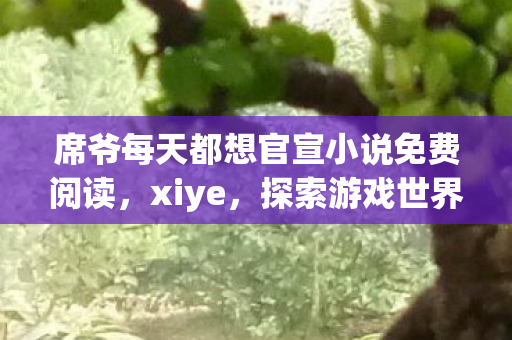 席爷每天都想官宣小说免费阅读，xiye，探索游戏世界的无限可能