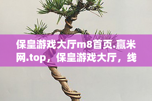 保皇游戏大厅m8首页.赢米网.top，保皇游戏大厅，线上娱乐的新选择