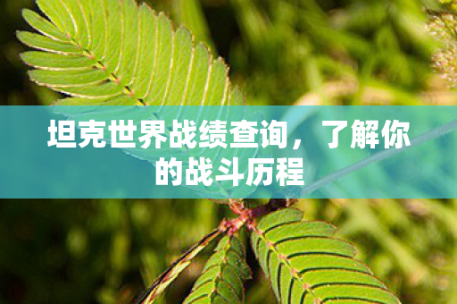 坦克世界战绩查询，了解你的战斗历程