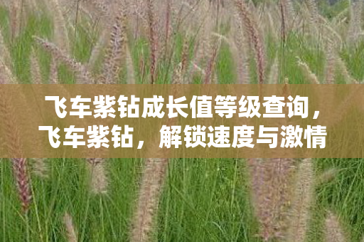 飞车紫钻成长值等级查询，飞车紫钻，解锁速度与激情的专属特权