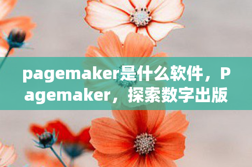 pagemaker是什么软件,Pagemaker,探索数字出版的创新之路 pagemaker是什么软件,Pagemaker,探索数字出版的创新之路