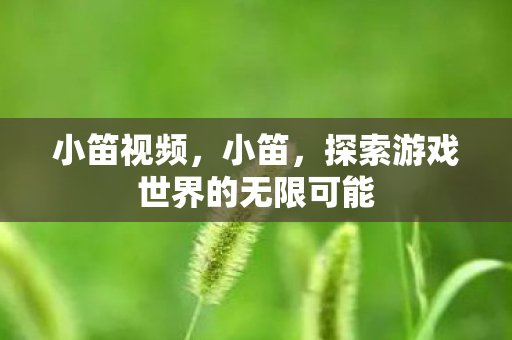 小笛视频，小笛，探索游戏世界的无限可能