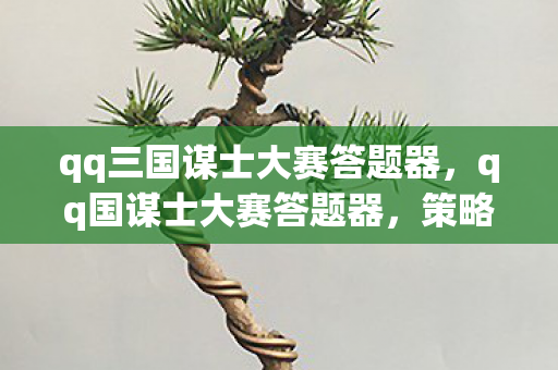 qq三国谋士大赛答题器，qq国谋士大赛答题器，策略与智慧的碰撞