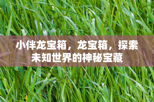 小伴龙宝箱，龙宝箱，探索未知世界的神秘宝藏