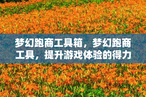 梦幻跑商工具箱，梦幻跑商工具，提升游戏体验的得力助手