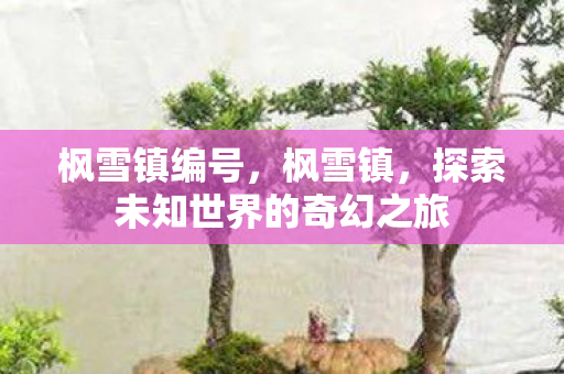 枫雪镇编号，枫雪镇，探索未知世界的奇幻之旅