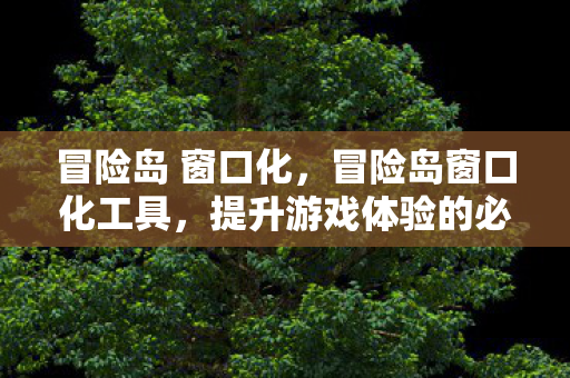 冒险岛 窗口化，冒险岛窗口化工具，提升游戏体验的必备神器