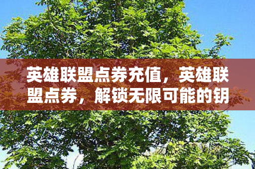 英雄联盟点券充值，英雄联盟点券，解锁无限可能的钥匙