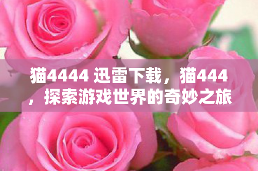 猫4444 迅雷下载，猫444，探索游戏世界的奇妙之旅