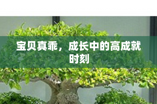 宝贝真乖，成长中的高成就时刻