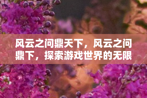 风云之问鼎天下，风云之问鼎下，探索游戏世界的无限可能